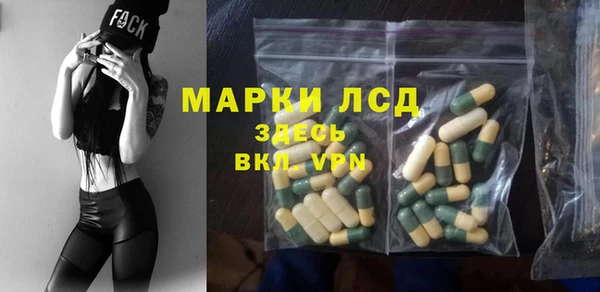 шишки Пестово